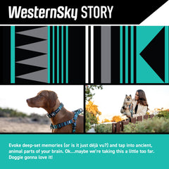 Wolfgang Heavy Duty Martingale Collar WesternSky Small buckle close-up shows quick release function