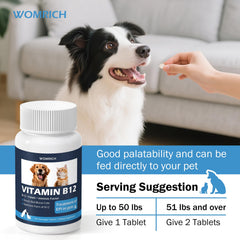 WOMRICH B12 tablets cat-dosing shows feline appetite and digestion support