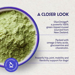 Wonder Paws blue-lipped mussels powder jar emphasizes enhanced mobility support