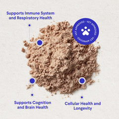 Wonder Paws reishi mushroom close-up for antioxidant nourishment
