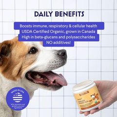Wonder Paws turkey tail powder topping on kibble to aid digestion.