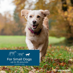 Wondercide dog spot-on demonstrates peppermint scent for a fresh, pleasant application.
