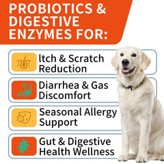 WONTECHMI Probiotics for Dogs ingredients natural USA label indicates premium gut health support.