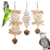 Wontee bird toys 3-pack in box, boosting parrot enrichment.