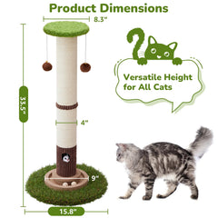 Woochpet base stability shot demonstrates steady foundation for vigorous play.