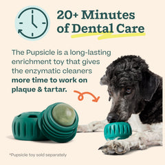 Woof 20-minute dental cleansing action illustrates long-lasting care during play.