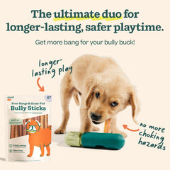 WOOF BullySticks 6-inch pack ready for long-lasting chewing sessions.