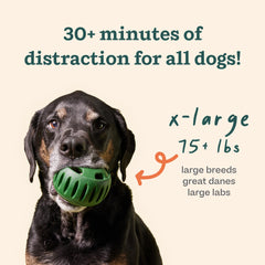 WOOF Chicken-treats bag ready for tasty enrichment moments