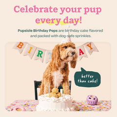 WOOF Pupsicle Birthday Pops being used as enrichment during playtime.