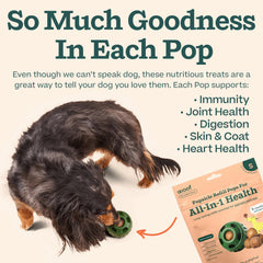 WOOF Pupsicle Refills shown as adventure-ready snack for hikes