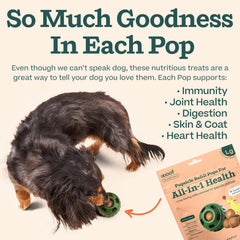 WOOF Pupsicle Refills texture showing chewy, dog-friendly consistency.