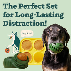 WOOF Pupsicle tray filled-treat highlights customizable homemade rewards for dogs