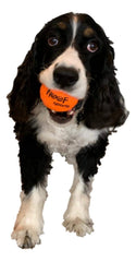 Woof Sports mesh carrying bag keeps balls organized on park trips.