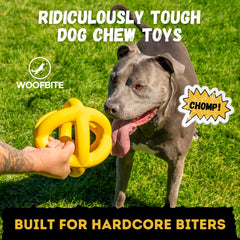 WoofBite giant-xl-ball tug play showing rugged construction.