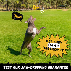 WoofBite Tug Rings enable fetch and mental stimulation during playtime for big dogs.