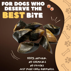 Woofley's cow hooves closeup chew shows natural texture and single-ingredient appeal
