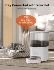 WOPET feeder dual-band wifi demonstrates stable connectivity for uninterrupted feeding.