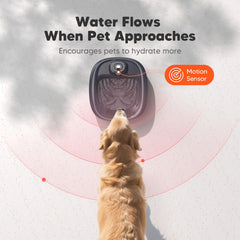 WOPET induction-sensor fountain shows flow when a pet approaches.