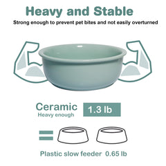 Wordcam tazón cerámico durable, porcelana segura para perros y gatos.