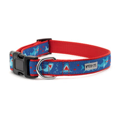 The Worthy Dog blue collar D-ring closeup shows sturdy attachment for leashes and tags.