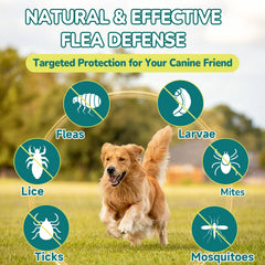 Woyamay 4-in-1 chews support skin and coat health.