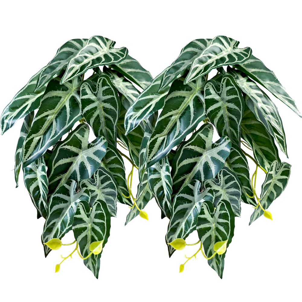 Woyrise reptile plants alocasia velvet leaves add natural terrarium ambiance and hiding spots.
