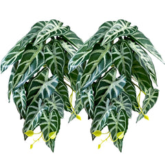Woyrise reptile plants alocasia velvet leaves add natural terrarium ambiance and hiding spots.