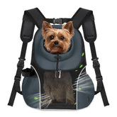 WOYYHO pet-dog-carrier-backpack-front-ventilated-mesh keeps pets cool and visible on trails