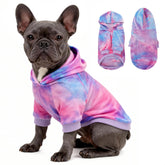 WOYYHO premium velvet tie-dye dog hoodie back view shows vibrant daily-wear appeal