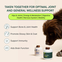 Wuffes 23-in-1 multivitamin bundle for dogs delivers comprehensive daily nutrition.
