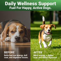WuffWell glucosamine joint-support scoop—supports comfortable movement.