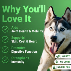 WuffWell spirulina powder tub—antioxidant-rich supplement.