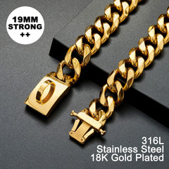 W/W Lifetime welded D-ring close-up shows durable leash and tag attachment.