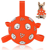 WYNTRIUM dog soccer ball full view shows durable 6 inch play for small to medium dogs