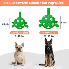 WYNTRIUM soccer ball bounces for energetic fetch and chase.