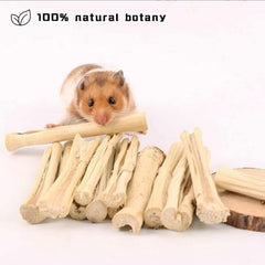 WYOMER natural sweet bamboo chew stick showcases tasty appeal for nibbling fun and dental wear.