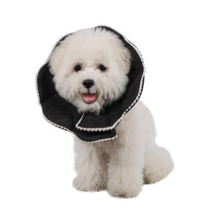 WZ PET cat recovery cone with adjustable neck strap for secure fit.
