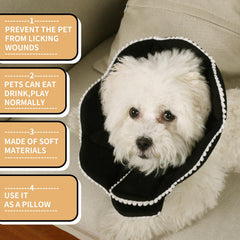WZ PET scratch-resistant cone protects wounds during recovery.
