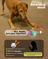 Xeuch interactive dog toy charging via Type-C cable for quick power-ups