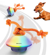 Xeuch Smart Interactive Dog Toy ball with LED modes boosts engagement during indoor play