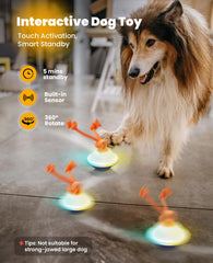 Xeuch ball rolling action mimics prey to spark your dog’s chase instinct