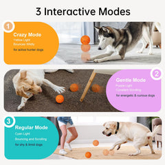 XINGZUAN interactive dog ball rotates during play to stimulate exploration.