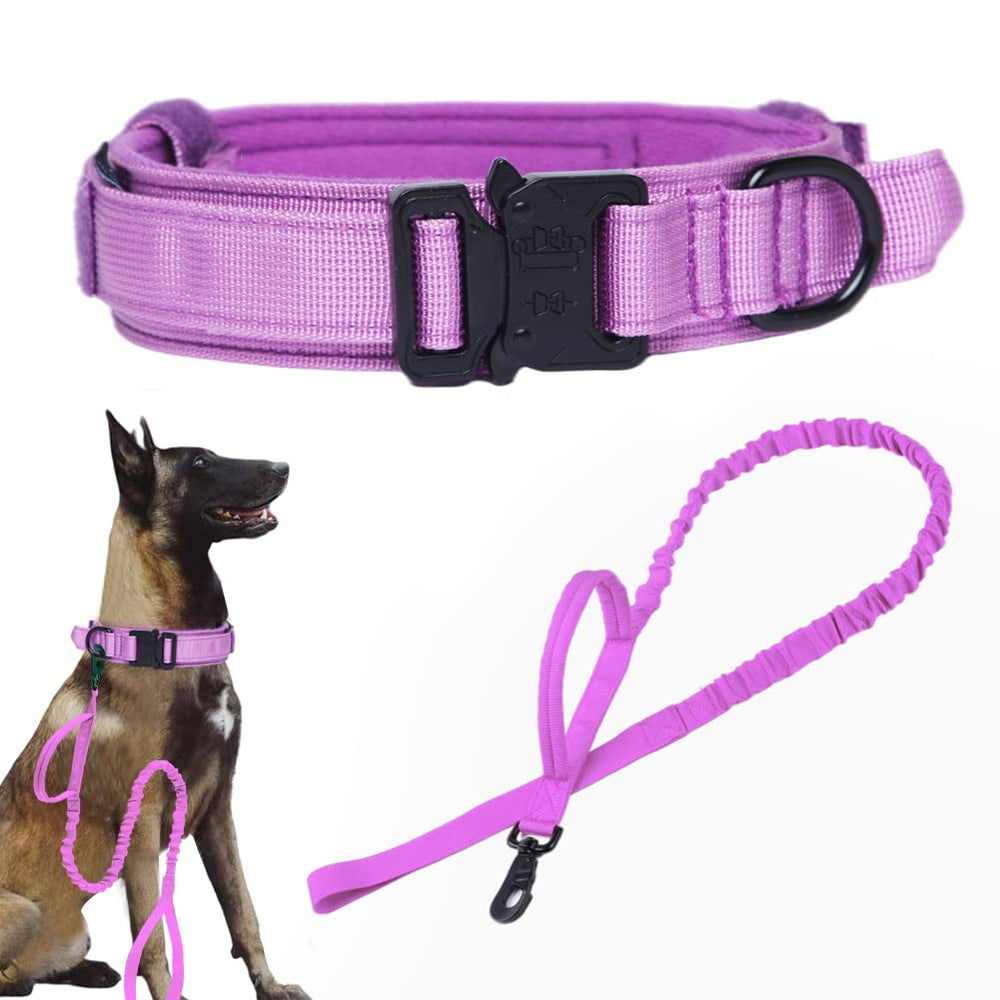 Xqpetlihai tactical collar purple XXL closeup buckle for durable control