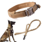 Xqpetlihai tactical dog collar buckle closeup highlighting durability