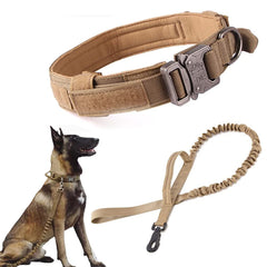 Xqpetlihai tactical dog collar buckle closeup highlighting durability