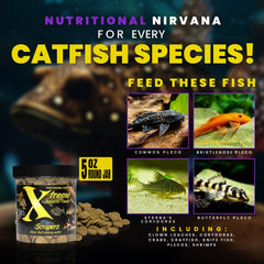 Xtreme Scrapers Wafers in feeding dish highlight 14mm size ideal for catfish consumption.