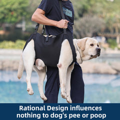 XUANNIAO Dog Lift Harness worn on dog during stairs or car entries.