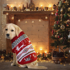 Xuniea plush-knit soft dog sweater close-up showing comfortable fabric