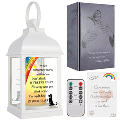 XXSTAR dog memorial lantern front view shows elegant glass sides for a lasting tribute.