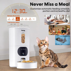 Yakry two-cat setup demonstrates shared feeding without manual intervention
